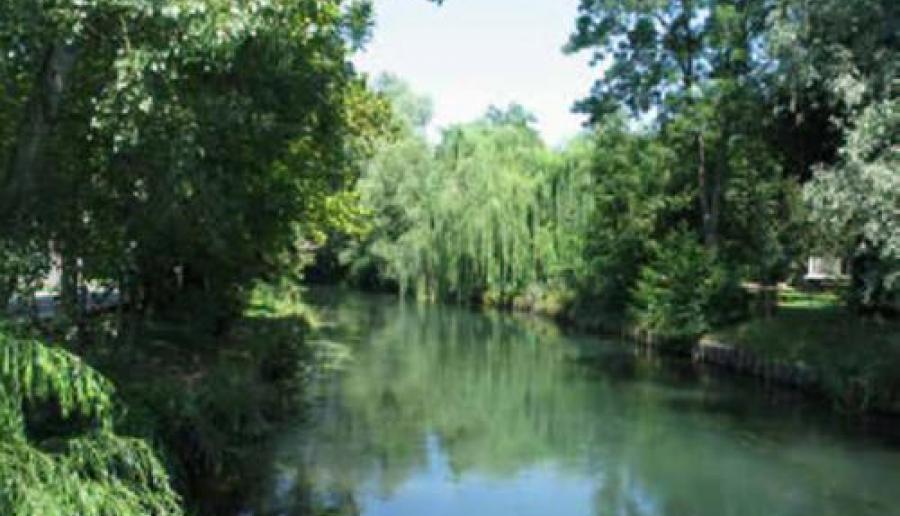 Avviso manifestazione di interesse relativo al Parco regionale di interesse locale dei fiumi Reghena- Lemene e dei laghi di Cinto Avviso manifestazione di interesse relativo al Parco regionale di interesse locale dei fiumi Reghena- Lemene e dei laghi di Cinto
