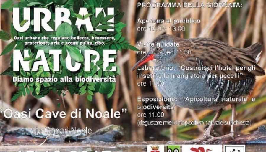 Oasi cave di Noale Urban Nature Oasi cave di Noale Urban Nature