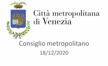 Consiglio metropolitano in diretta streaming Consiglio metropolitano in diretta streaming