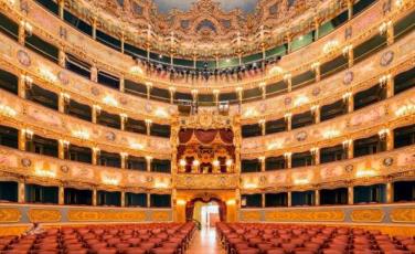 cultura fenice metropolitana