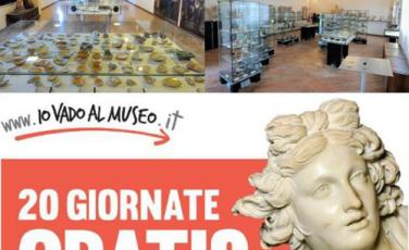 Museo di Torcello aperto gratuitamente Museo di Torcello aperto gratuitamente