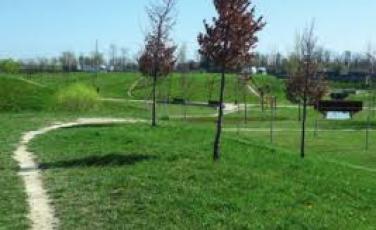 Parco a Mirano Parco a MIrano