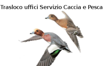 Trasloco Servizio Caccia e Pesca Trasloco Servizio Caccia e Pesca