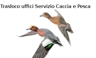 Trasloco Servizio Caccia e Pesca