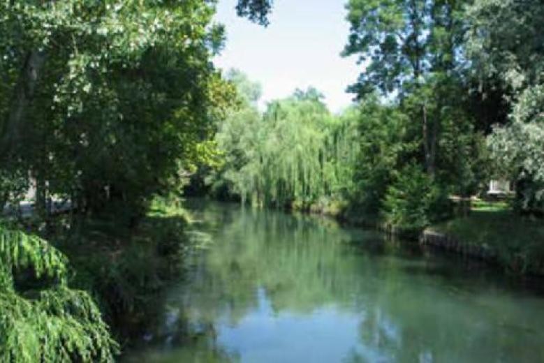 Avviso manifestazione di interesse relativo al Parco regionale di interesse locale dei fiumi Reghena- Lemene e dei laghi di Cinto
