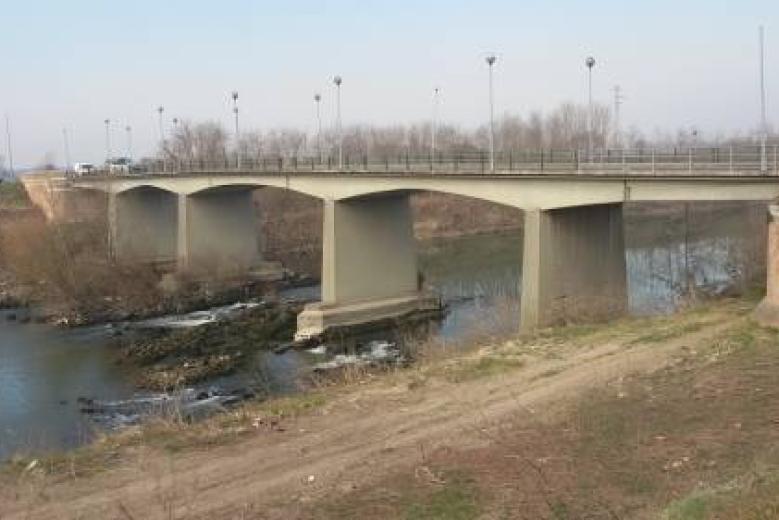 sp12 sandon ponte
