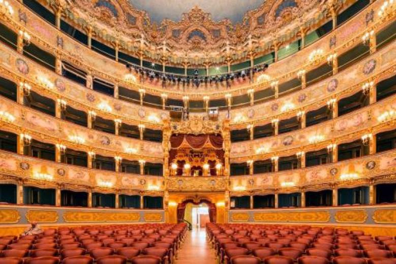 cultura fenice metropolitana