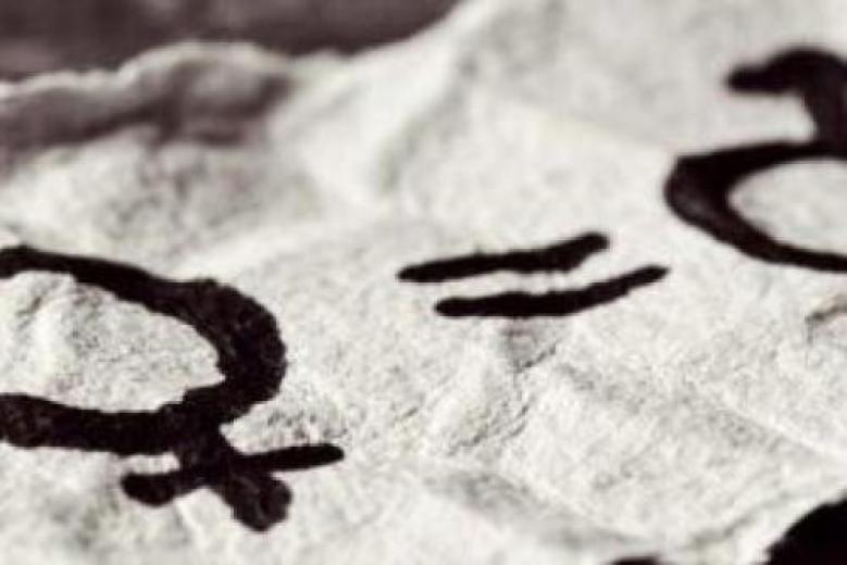 consigliera parità consigliera parità