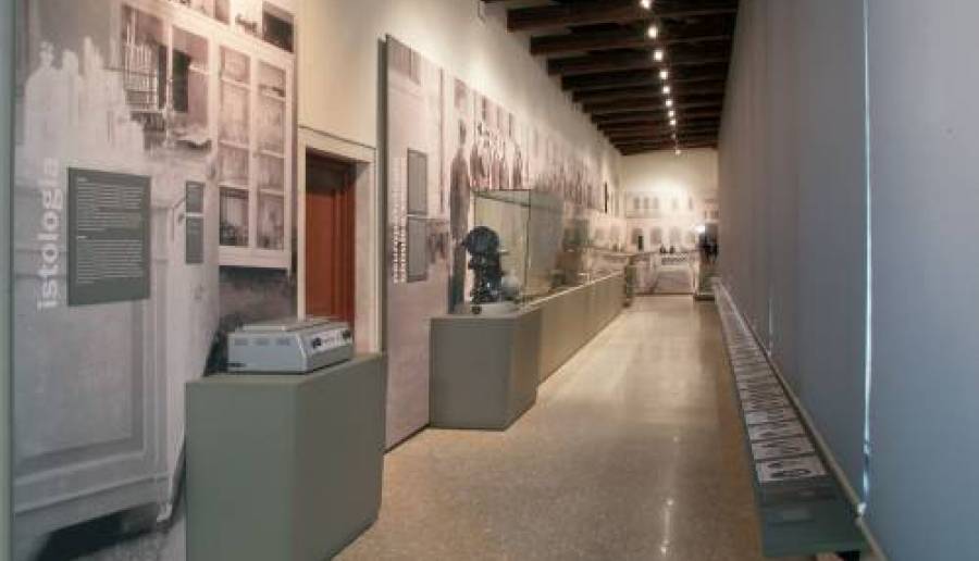 museo follia museo follia san servolo